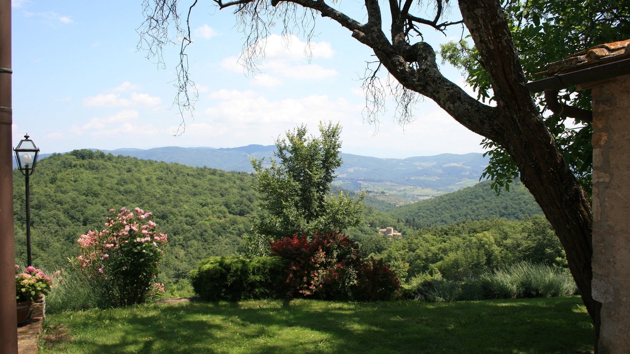 Photo of Others in Greve in Chianti