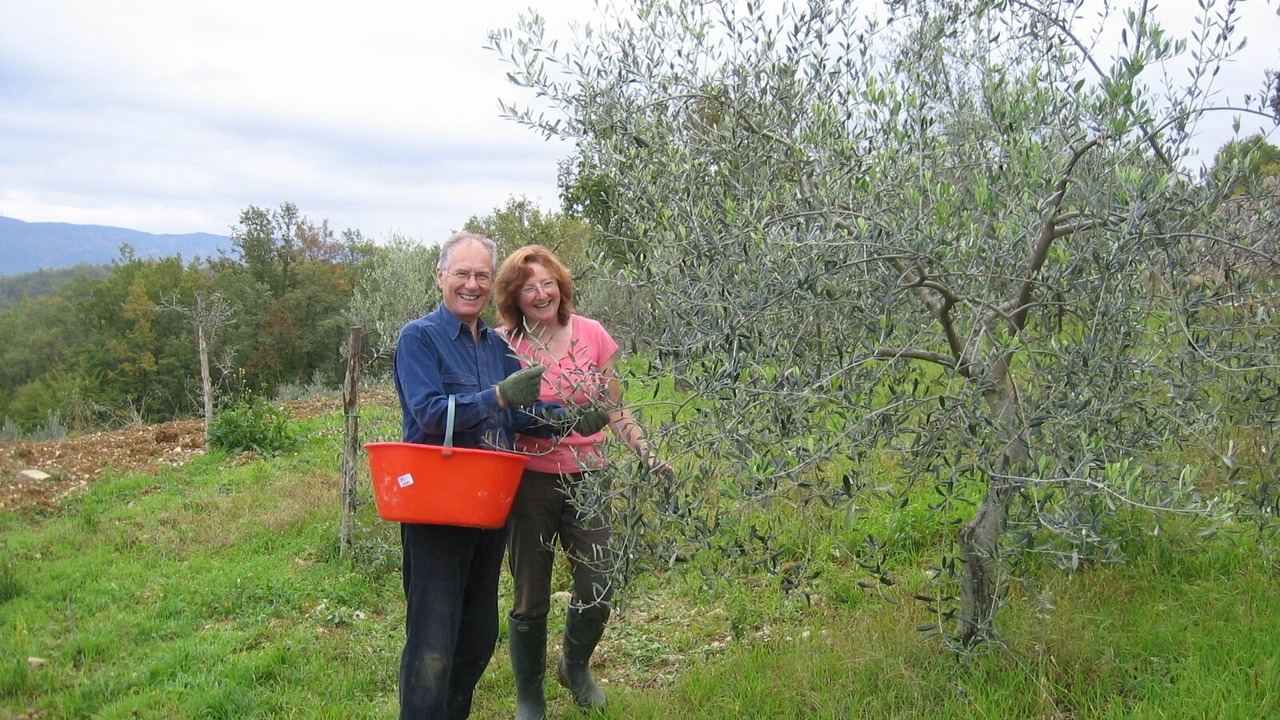 Photo of Others in Greve in Chianti