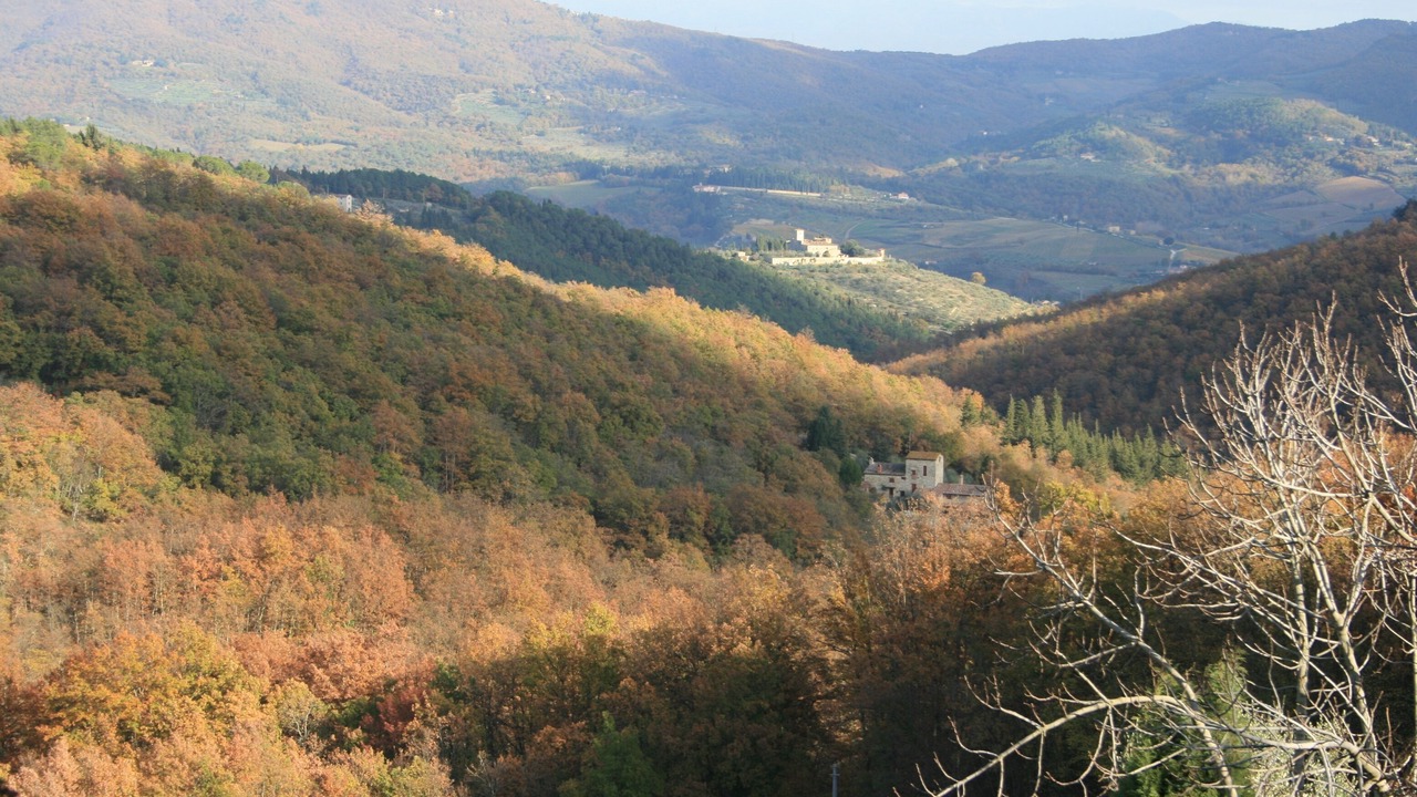 Photo of Others in Greve in Chianti