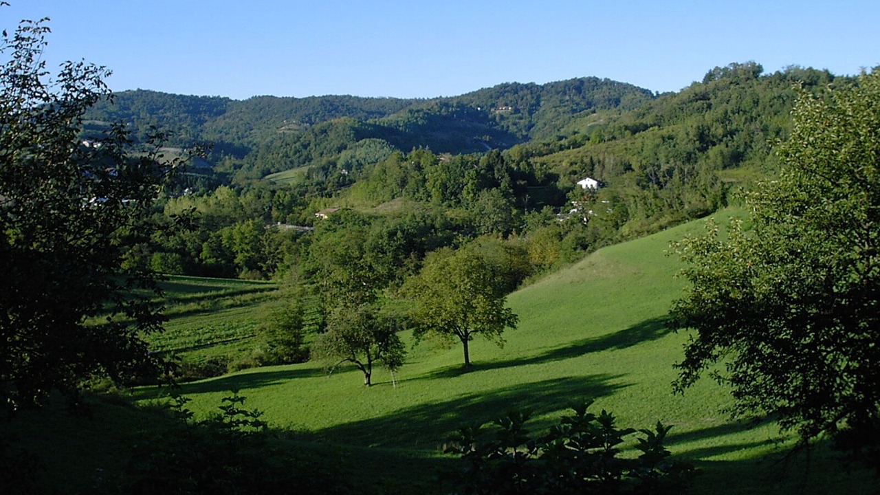 Photo of Others in Sciolze