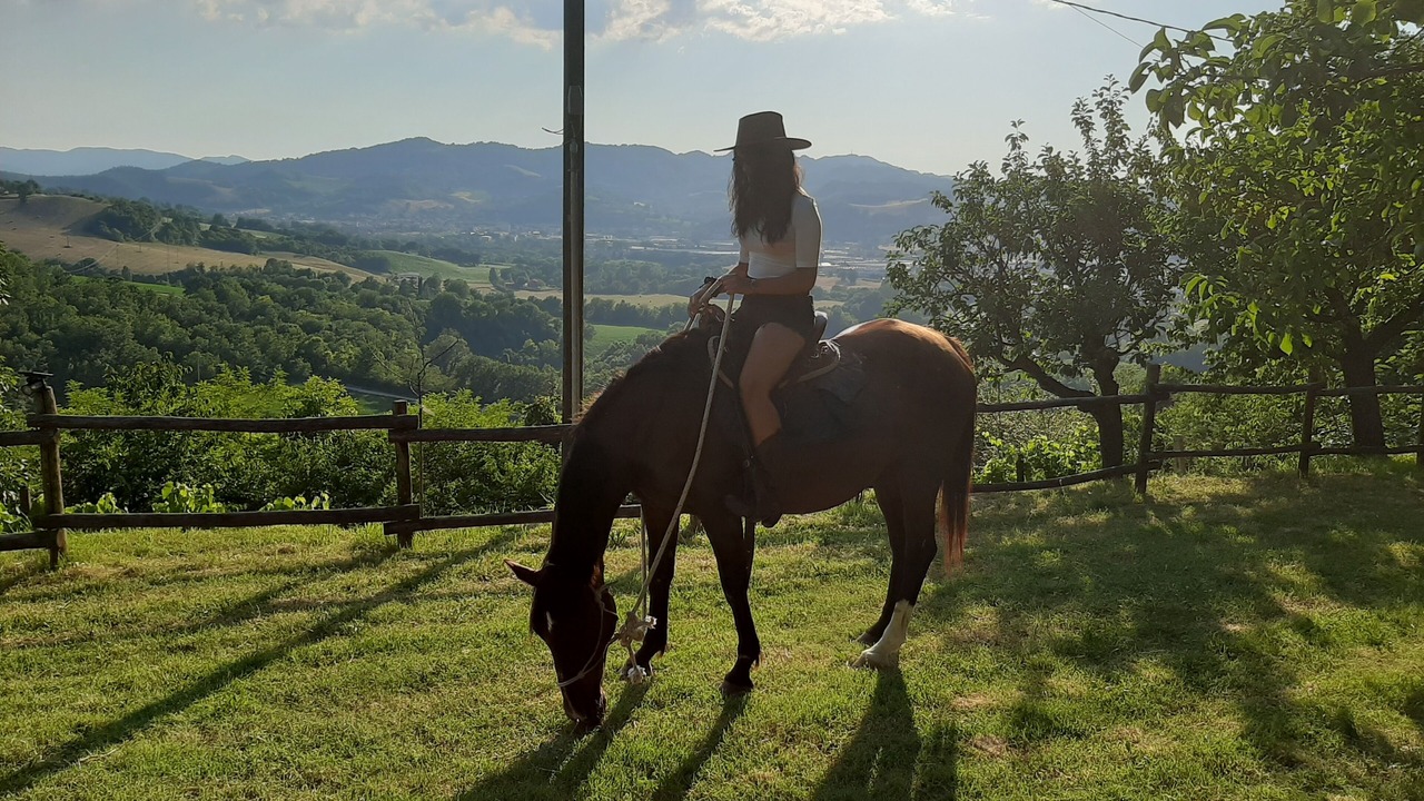 Photo of Others in Urbino