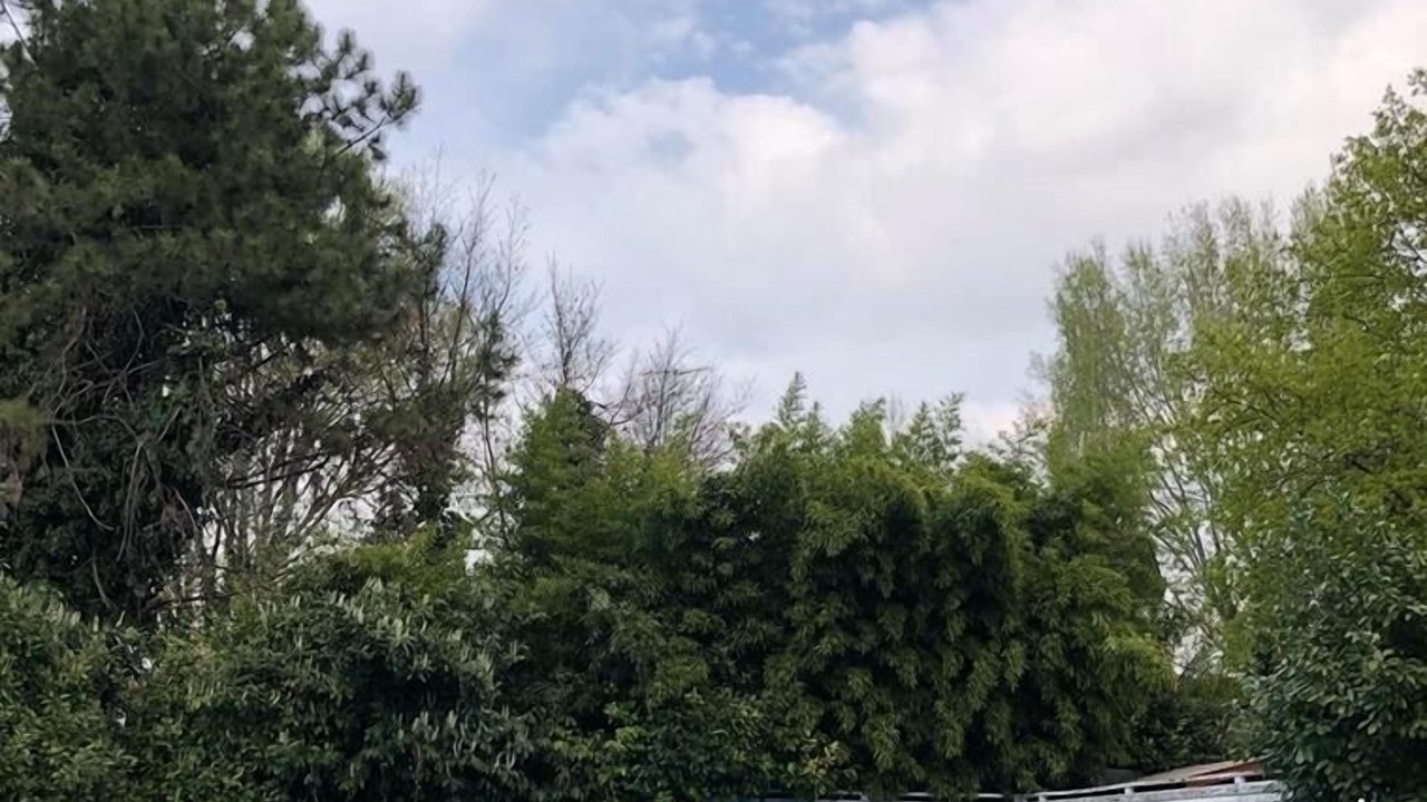 Photo of Outdoor in Quistello