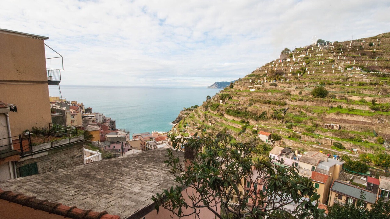 Photo of Others in Manarola
