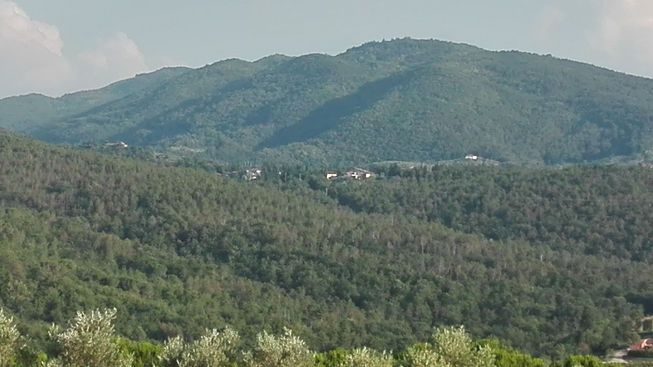 Photo of Others in Chiocchio