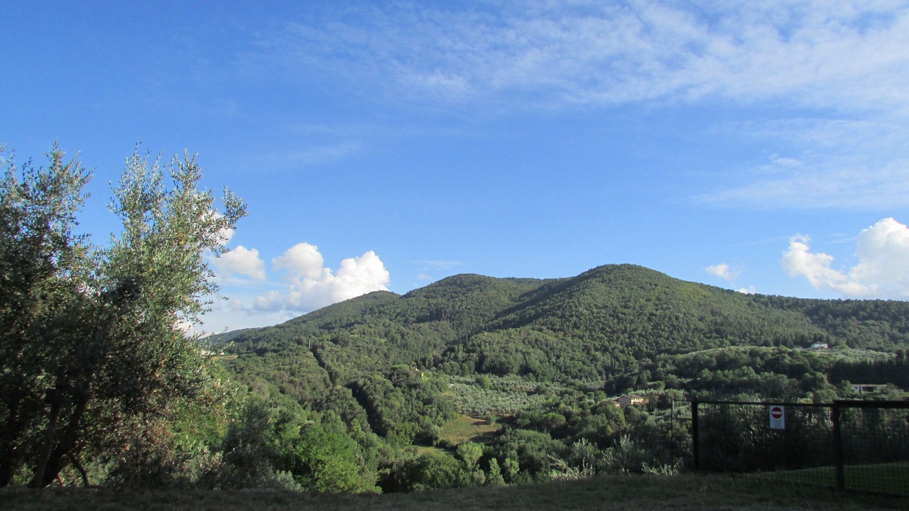 Photo of Others in Chiocchio