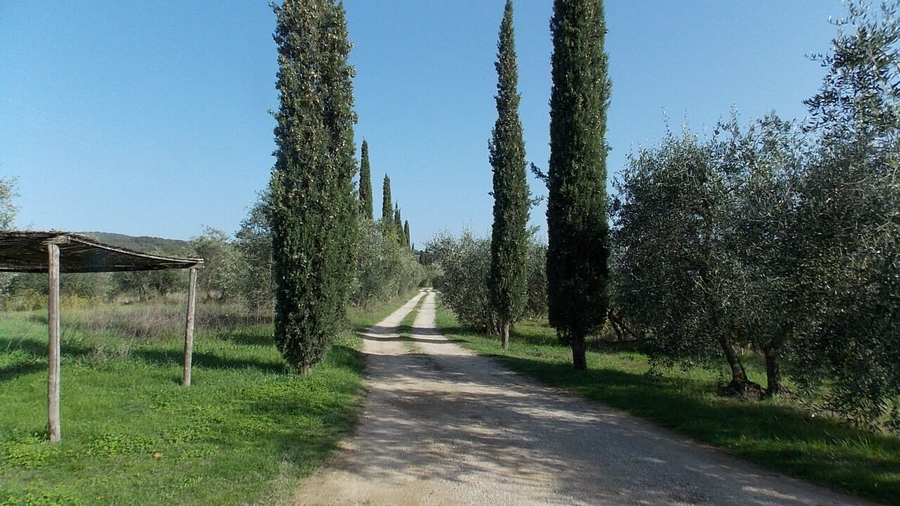 Photo of Outdoor in Lilliano