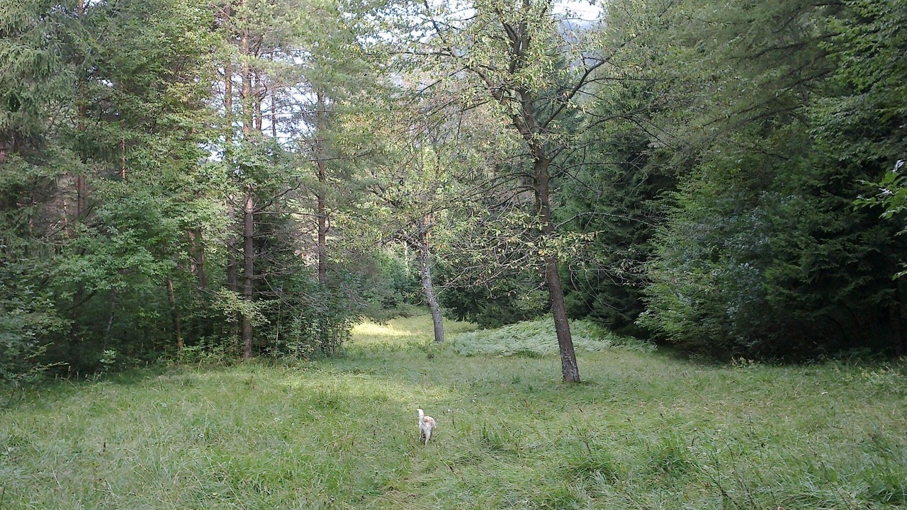 Photo of Outdoor in Posina