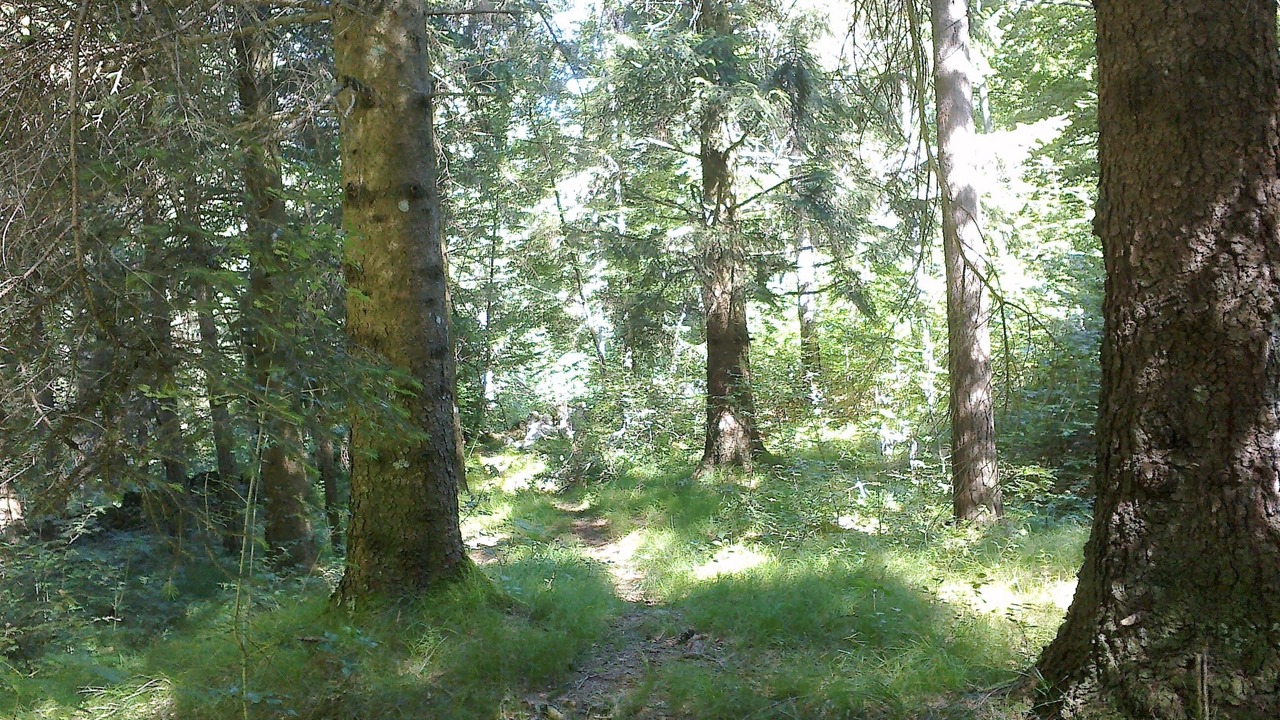 Photo of Outdoor in Posina