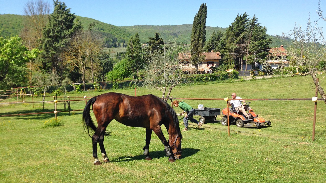 Photo of Others in Rignano sull'Arno