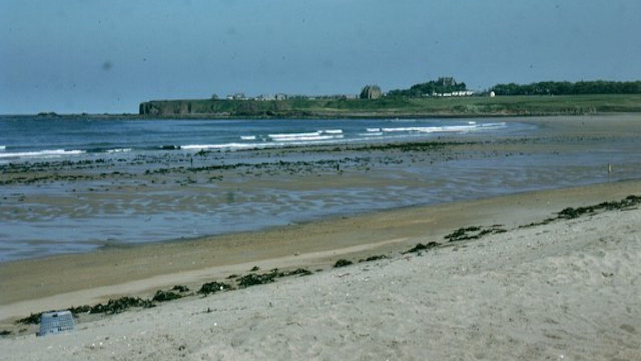 Photo of Others in Dunbar