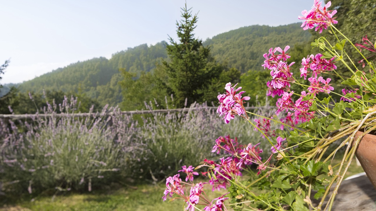 Photo of Outdoor in Castiglione d'Orcia