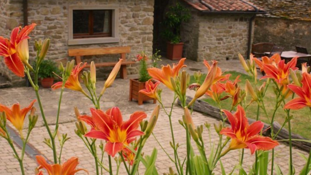 Photo of Outdoor in Caprese Michelangelo