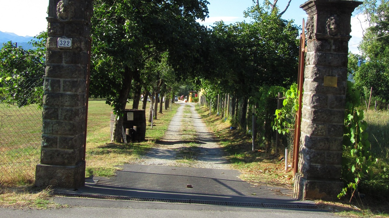 Photo of Outdoor in Vicopelago