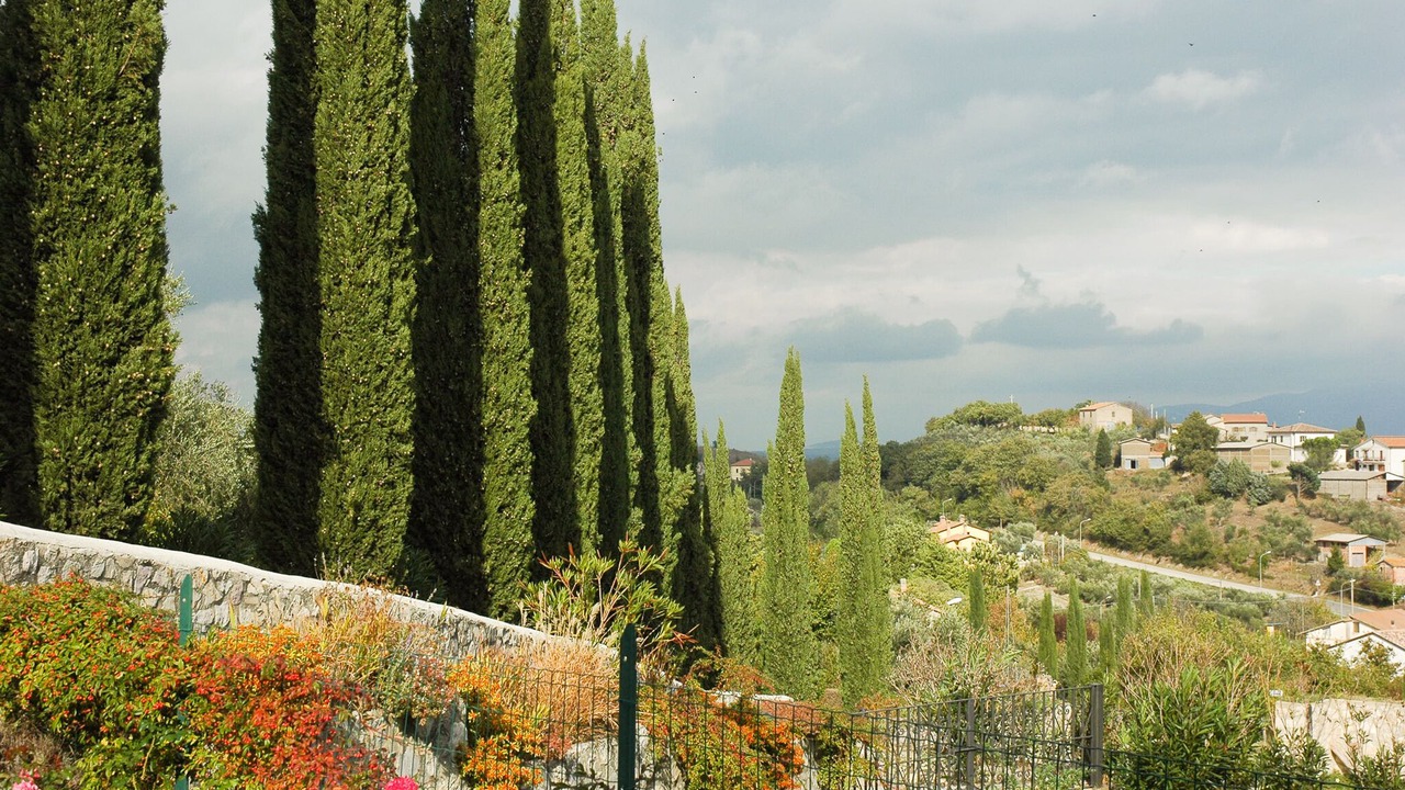 Photo of Outdoor in Colpetrazzo