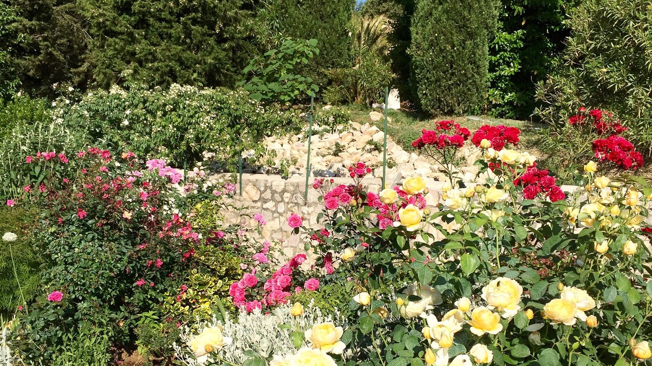 Photo of Outdoor in Colpetrazzo