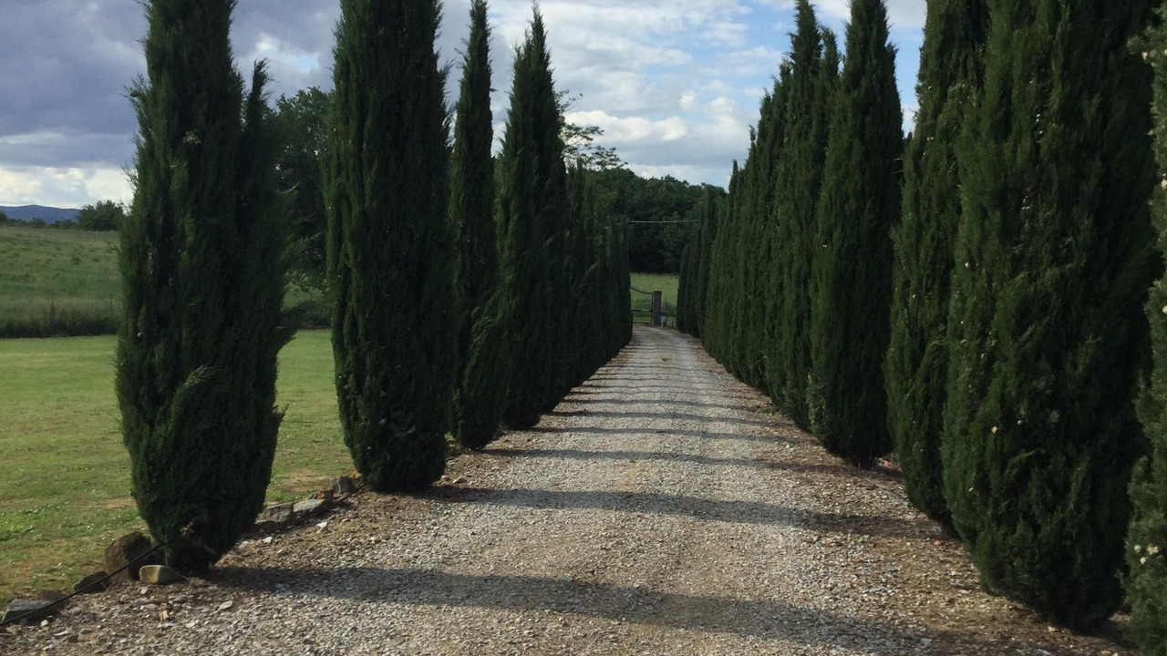 Photo of Outdoor in Le Piazze