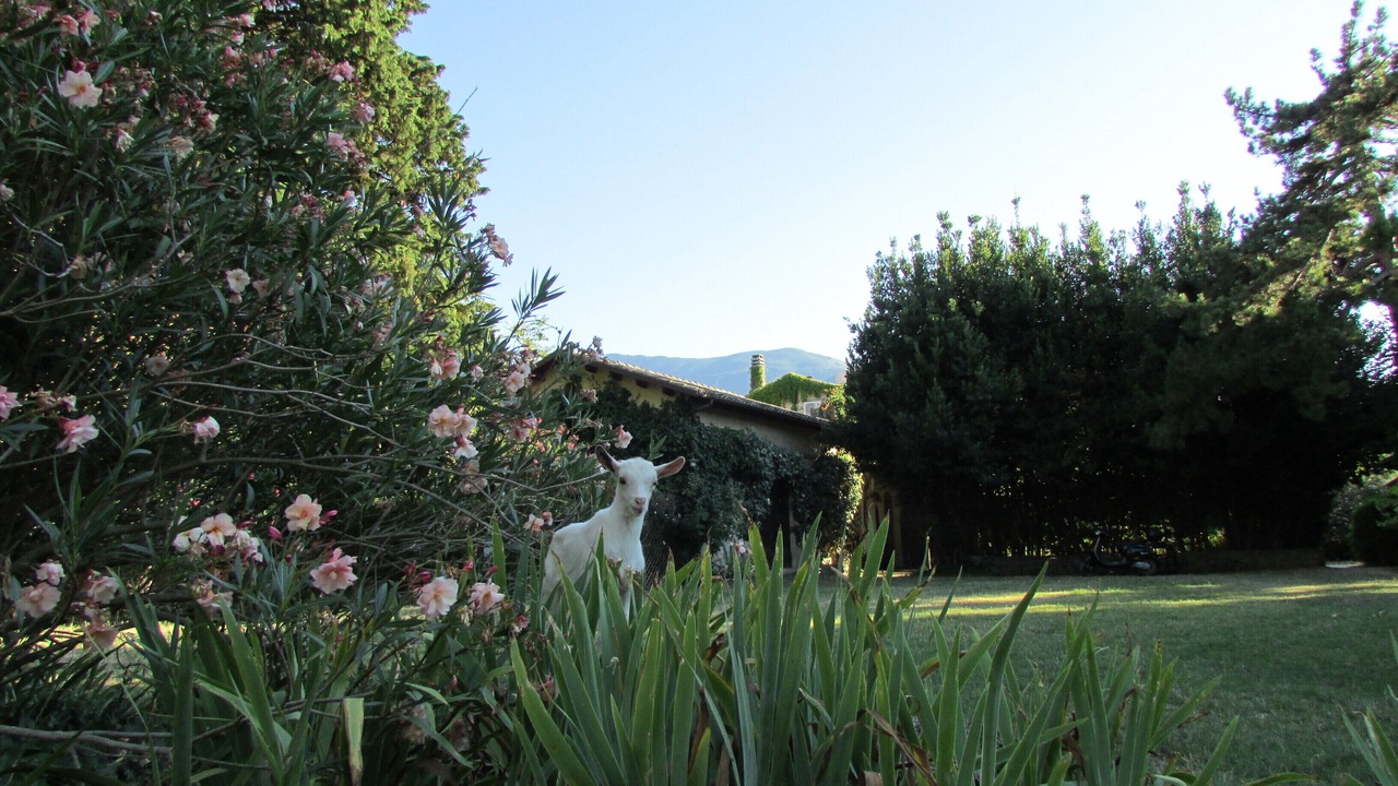 Photo of Outdoor in Tocco da Casauria