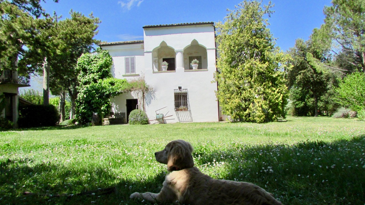Photo of Outdoor in Tocco da Casauria