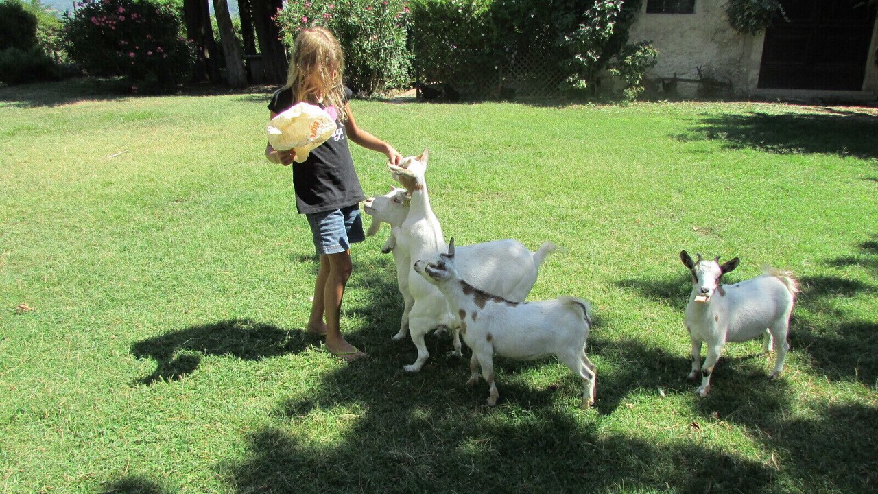 Photo of Others in Tocco da Casauria