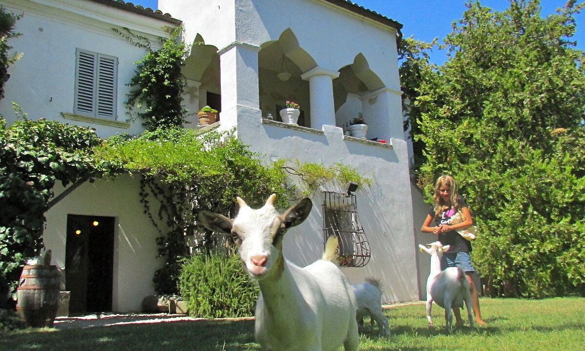 Photo of Outdoor in Tocco da Casauria