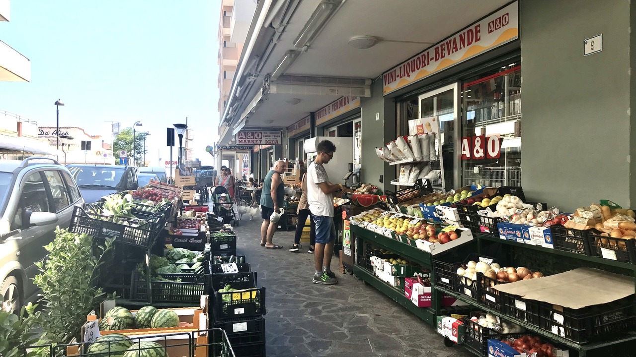 Photo of Others in Igea Marina