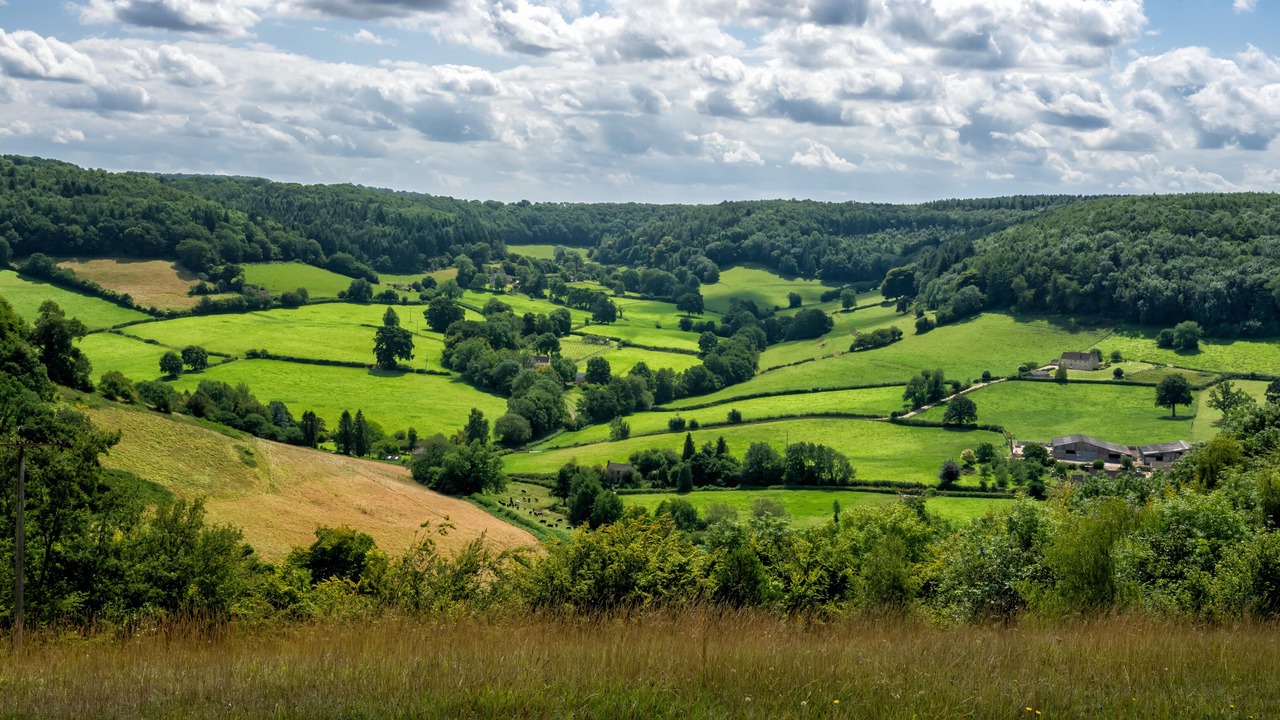 Photo of Others in Dursley
