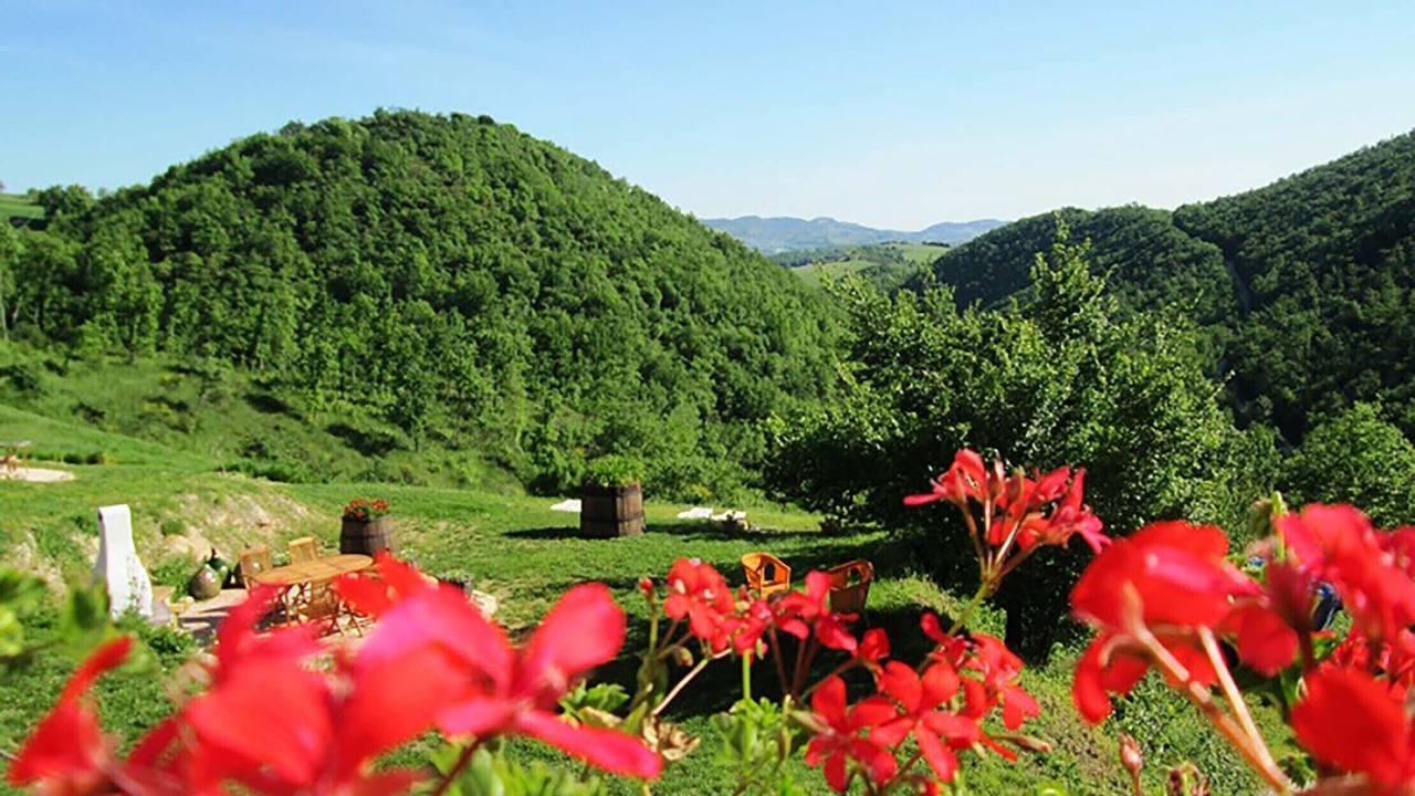 Photo of Outdoor in Monterosso