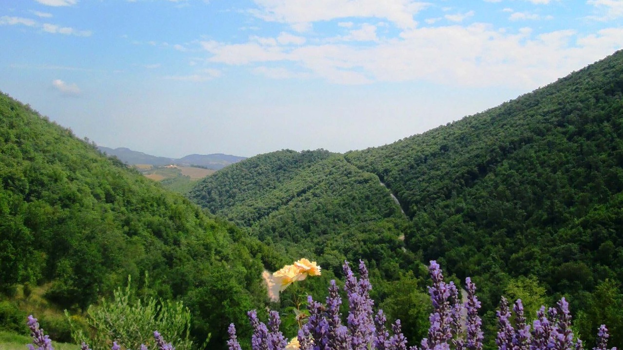 Photo of Outdoor in Monterosso