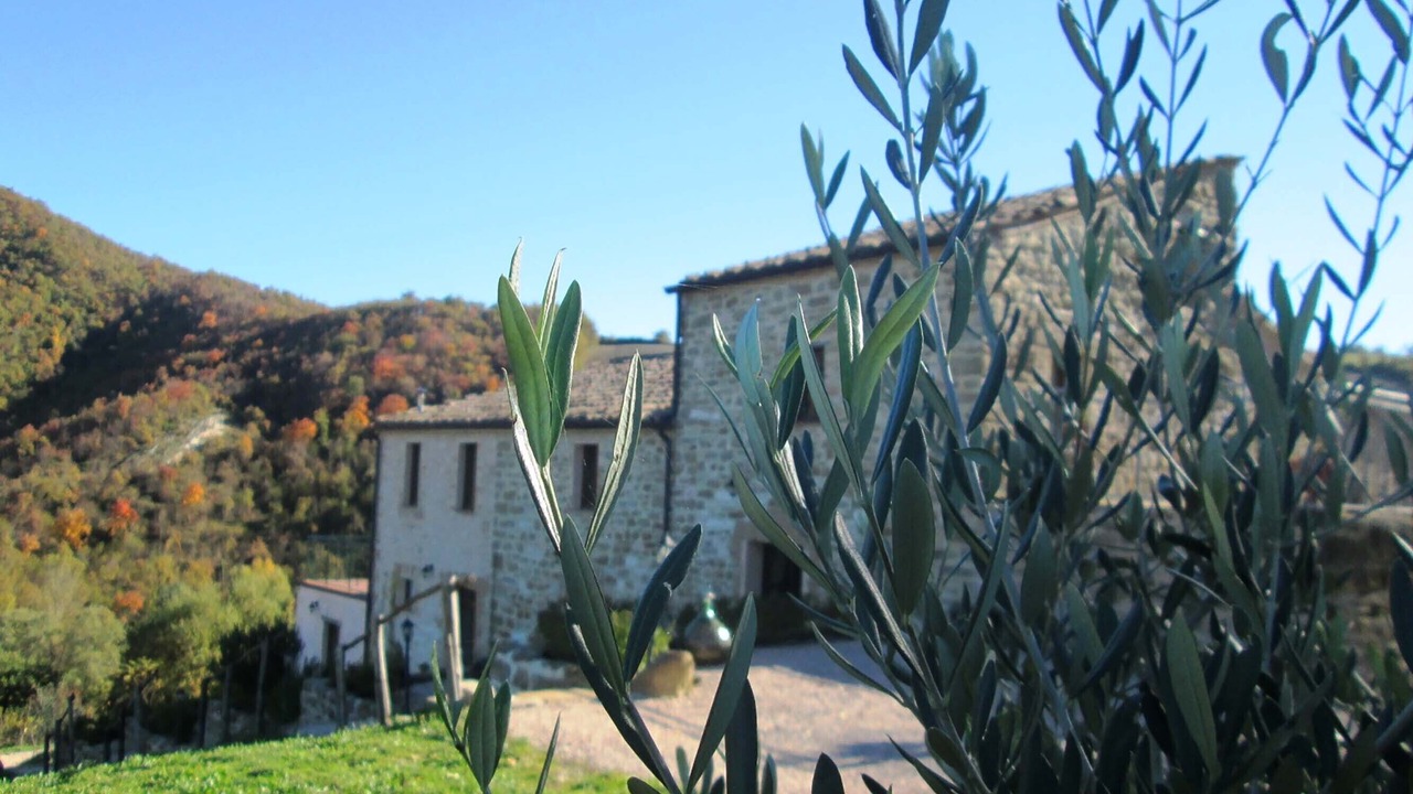 Photo of Outdoor in Monterosso