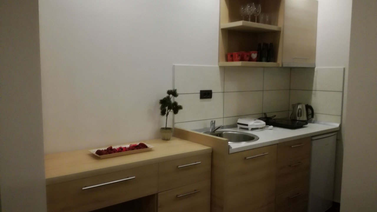 Photo of Kitchen in Raska