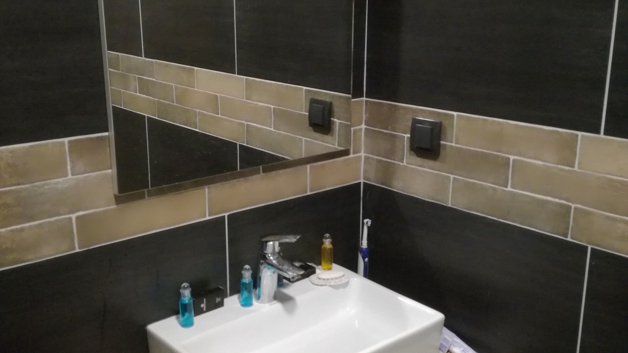 Photo of Bathroom in Raska