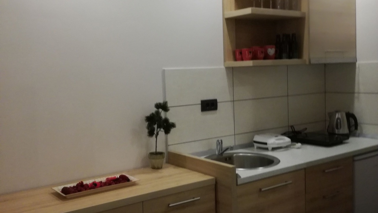 Photo of Kitchen in Raska