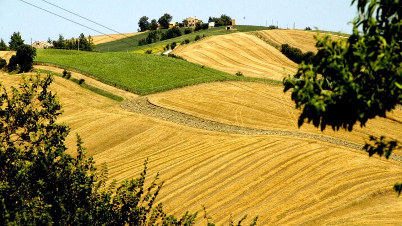 Photo of Others in Montecarotto