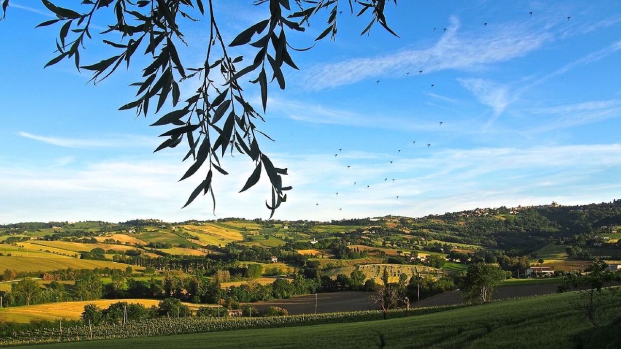 Photo of Outdoor in Montecarotto