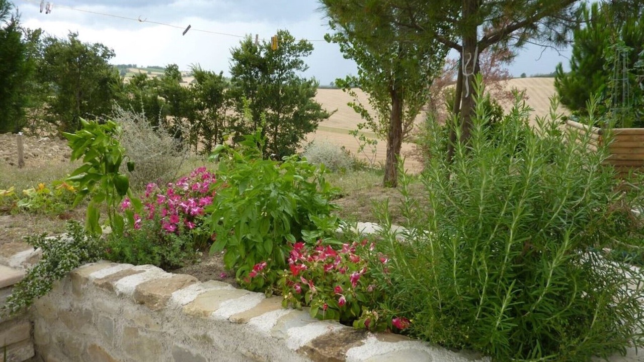 Photo of Outdoor in Montecarotto