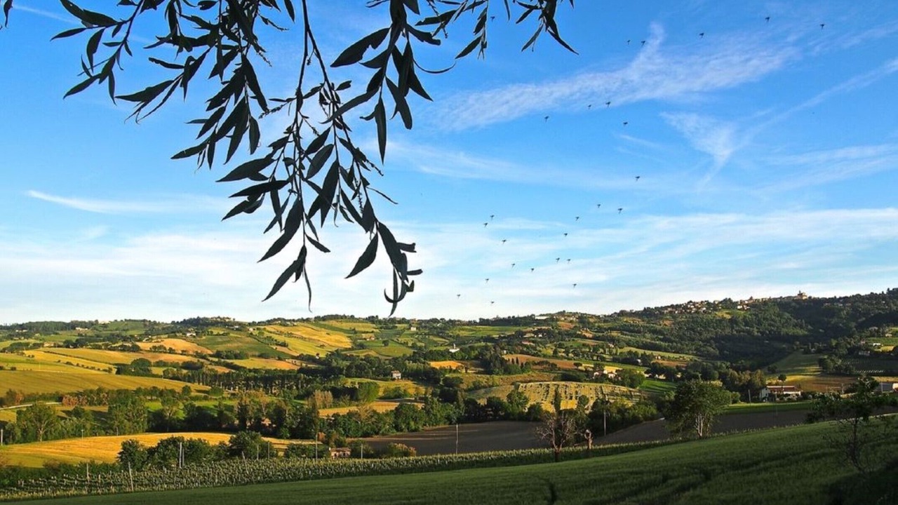 Photo of Outdoor in Montecarotto