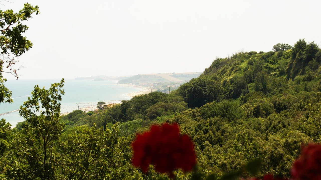 Photo of Outdoor in Vallevo