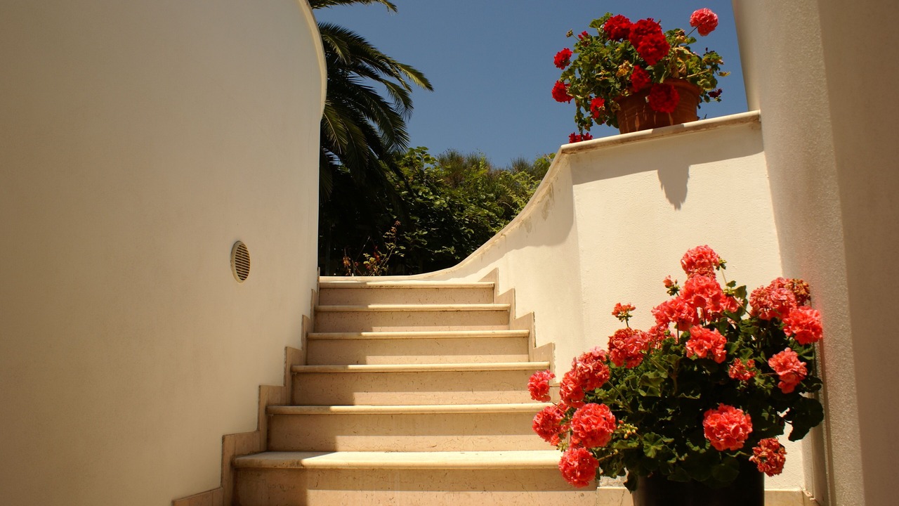 Photo of Outdoor in Vallevo