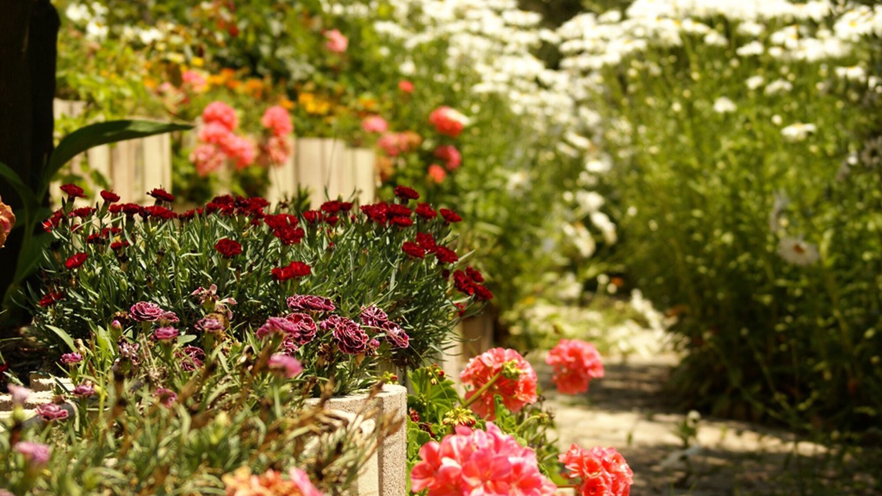 Photo of Outdoor in Vallevo
