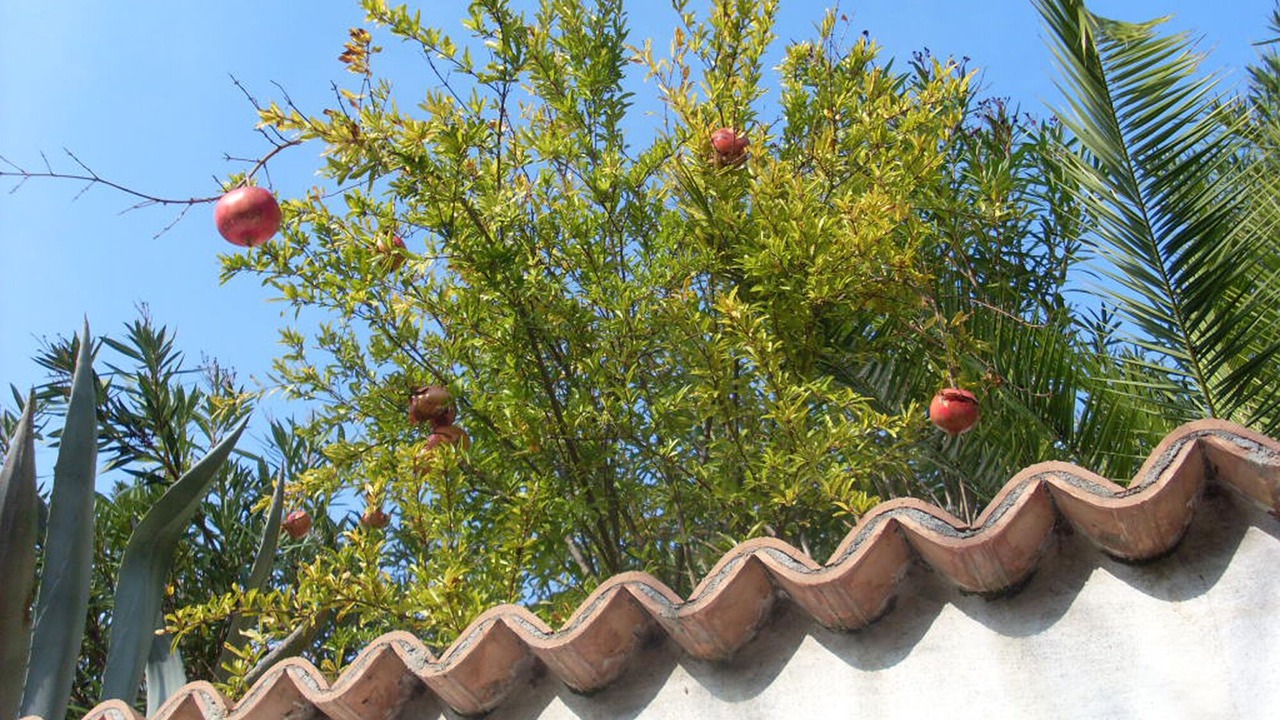 Photo of Outdoor in Vallevo