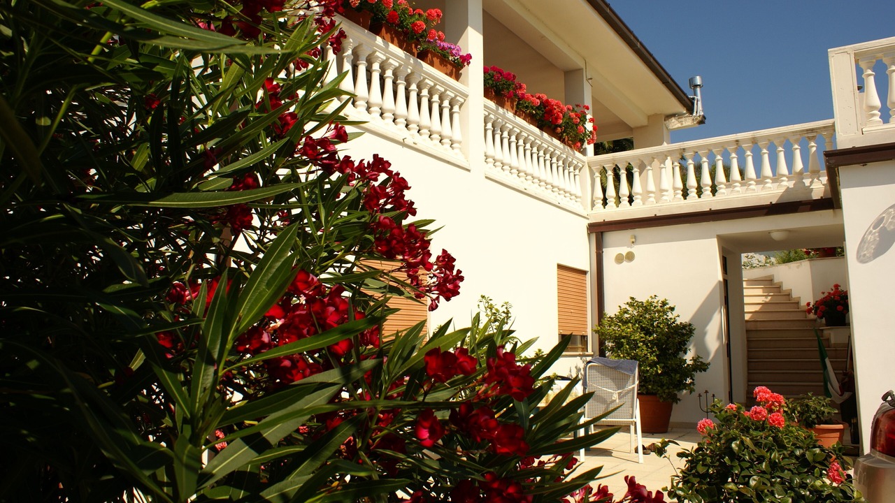 Photo of Outdoor in Vallevo
