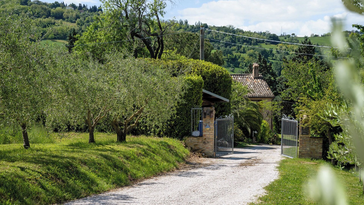 Photo of Others in Rupoli