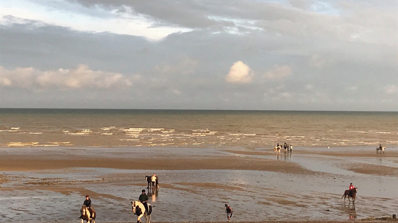 Photo of Others in Pevensey