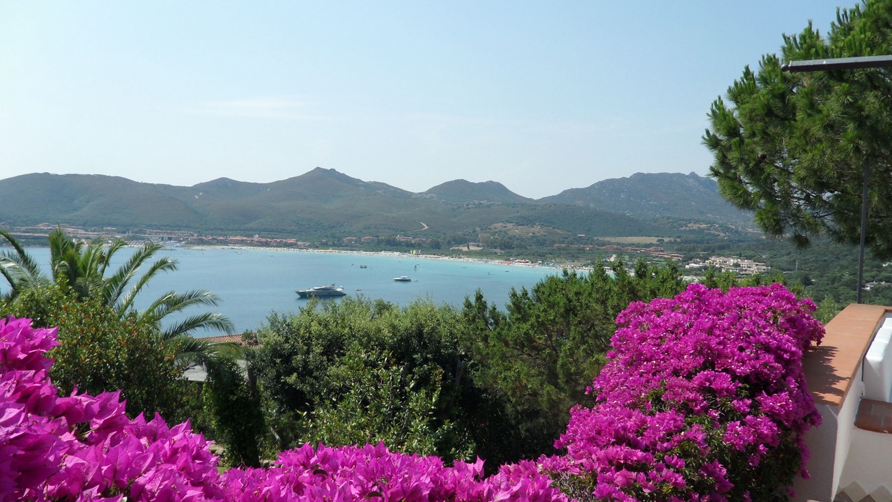 Photo of Others in Golfo di Marinella