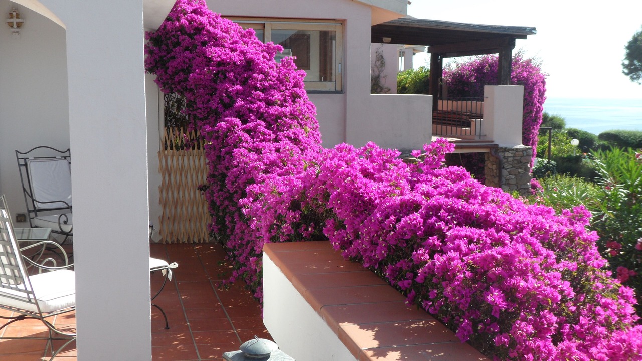 Photo of Patio Balcony in Golfo di Marinella