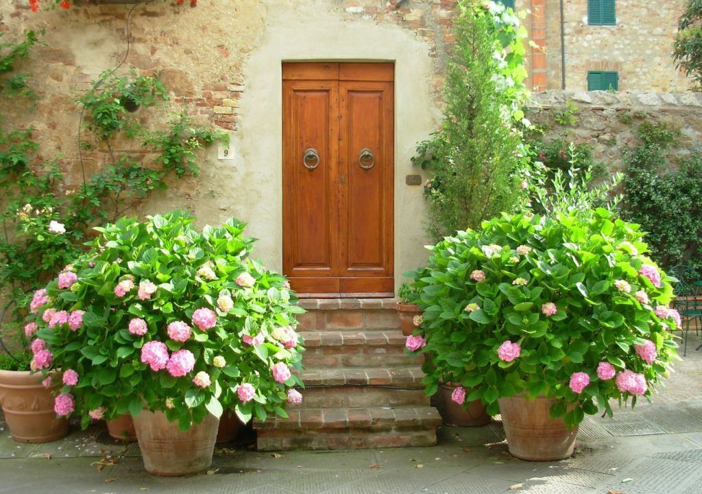 Photo of Outdoor in Cortona