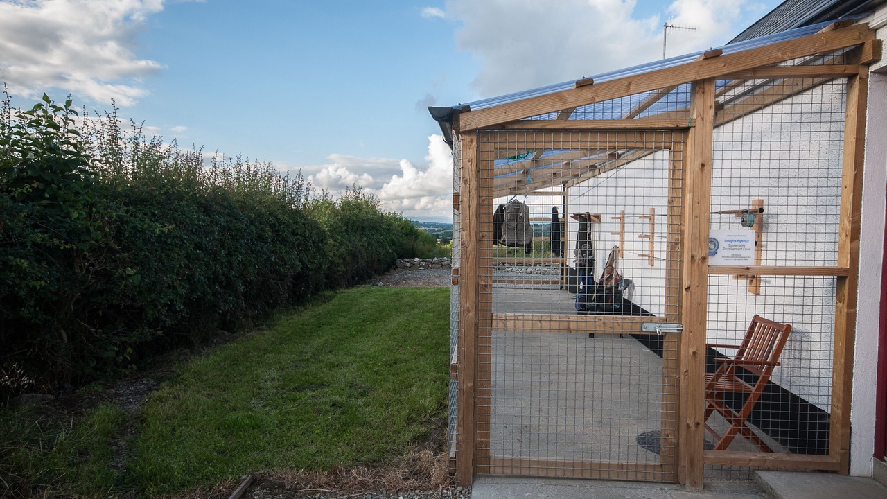 Photo of Outdoor in Strabane