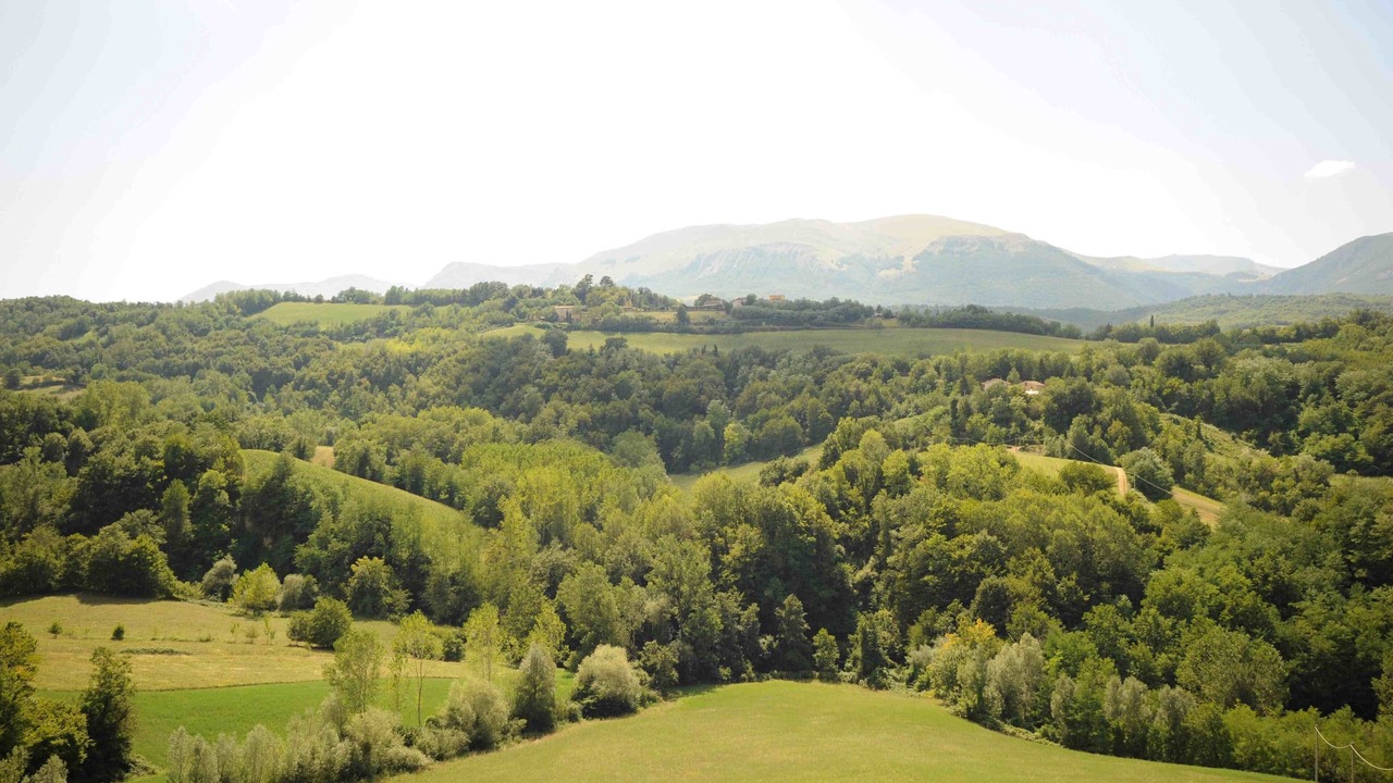 Photo of Others in Amandola