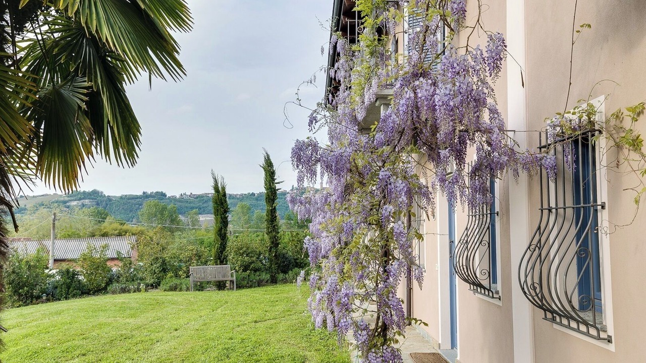 Photo of Outdoor in La Morra