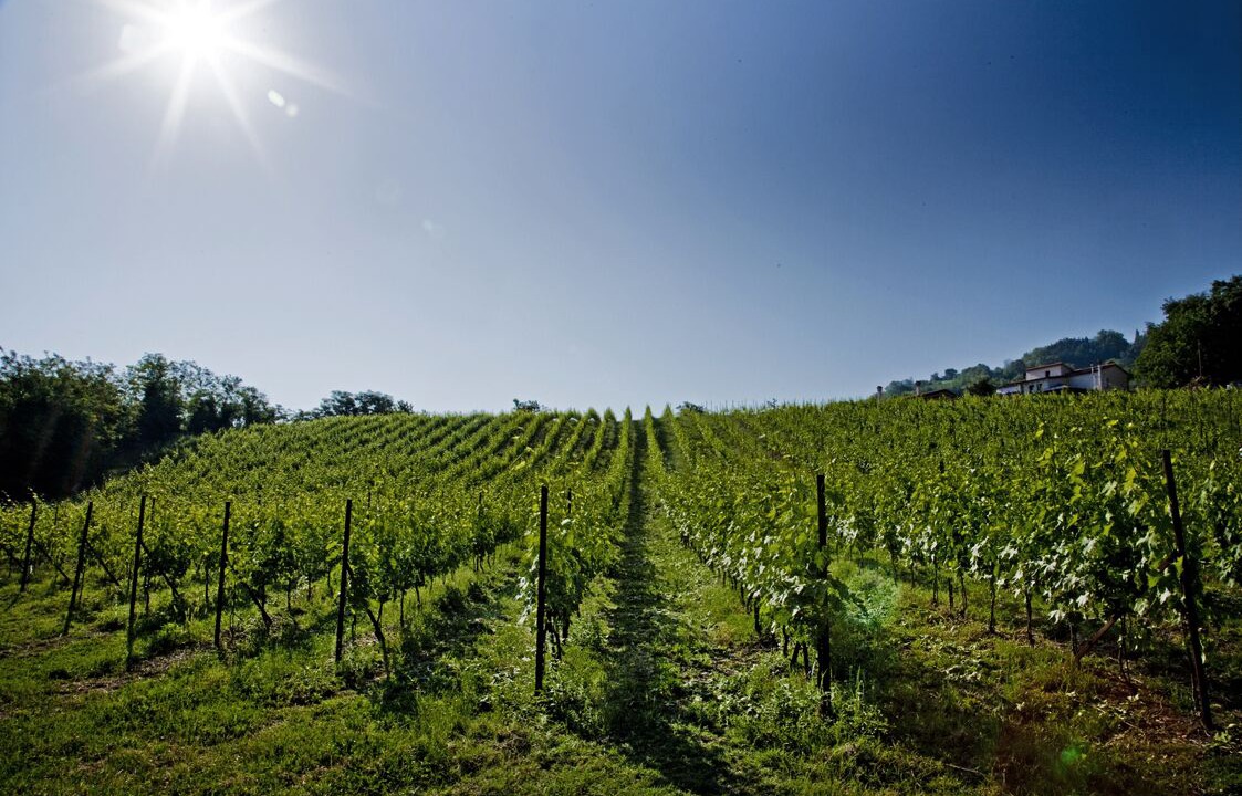 Photo of Outdoor in Gemmano
